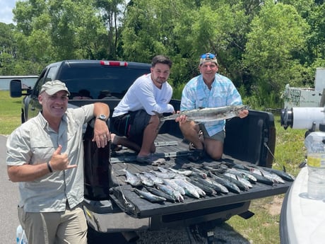 King Mackerel / Kingfish fishing in Gulf Shores, Alabama