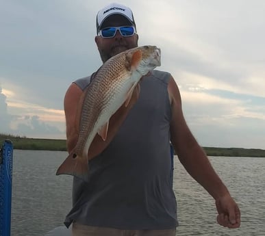 Redfish fishing in Saint Bernard, Louisiana