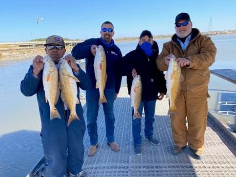 Redfish fishing in Galveston, Texas