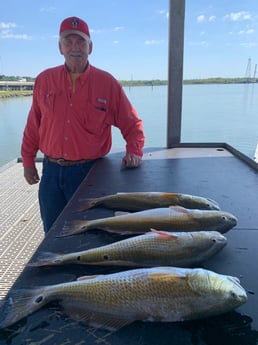 Redfish fishing in Galveston, Texas