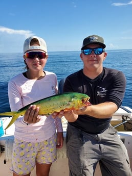 Mahi Mahi / Dorado fishing in Clearwater, Florida