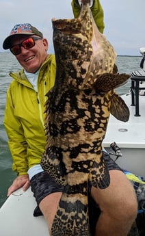 Goliath Grouper fishing in Cudjoe Key, Florida