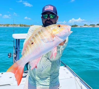 Mutton Snapper fishing in Tavernier, Florida