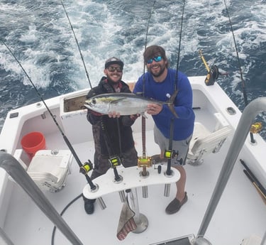 Cobia fishing in Key West, Florida