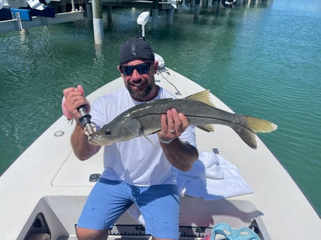 Snook Fishing in Sarasota, Florida