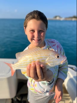 Lane Snapper Fishing in Key West, Florida