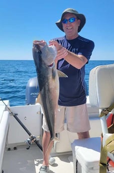 Amberjack Fishing in Panama City, Florida