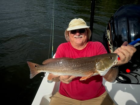 Fishing in St. Petersburg, Florida