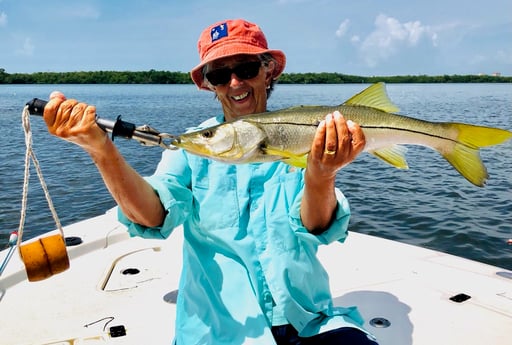 Snook fishing in Fort Myers Beach, Florida
