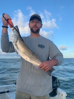 Speckled Trout / Spotted Seatrout fishing in Galveston, Texas