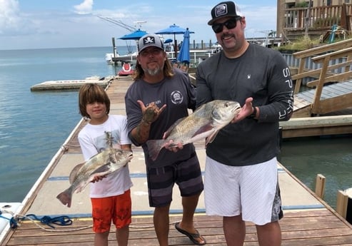 Black Drum Fishing in South Padre Island, Texas