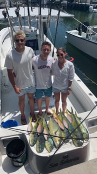 Mahi Mahi / Dorado, Red Snapper fishing in Key Largo, Florida