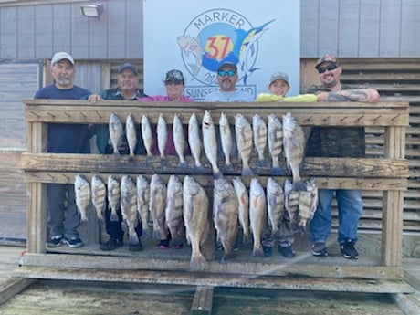 Black Drum, Redfish, Speckled Trout / Spotted Seatrout fishing in Corpus Christi, Texas