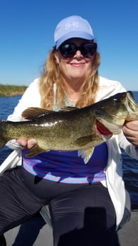 Largemouth Bass Fishing in Fort Lauderdale, Florida