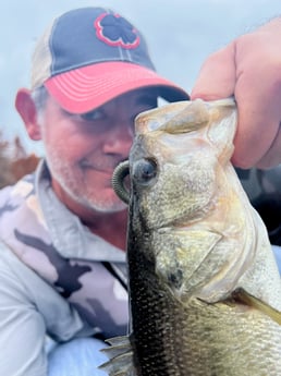 Largemouth Bass Fishing in Austin, Texas