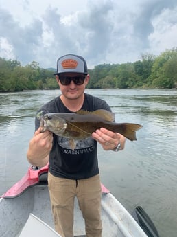 Largemouth Bass fishing in Leicester, North Carolina