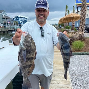 Black Drum fishing in Beaufort, North Carolina