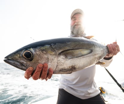 Blackfin Tuna fishing in Galveston, Texas