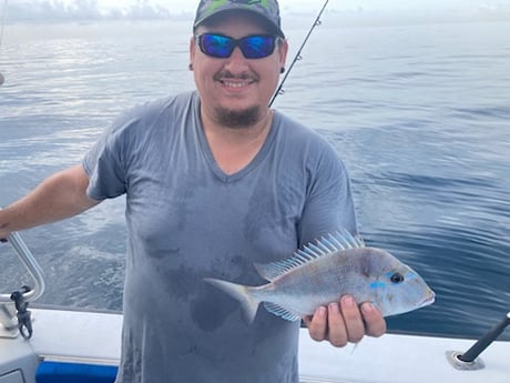 Scup Fishing in West Palm Beach, Florida