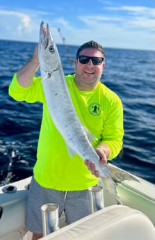 Barracuda fishing in Key West, Florida