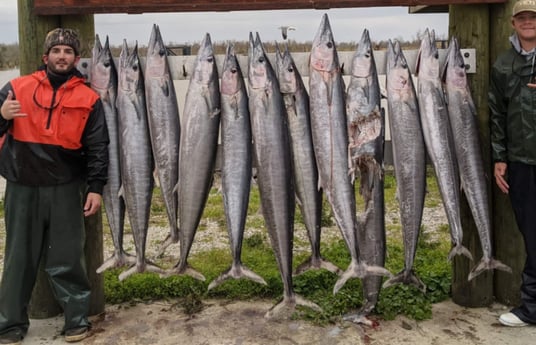 Wahoo fishing in Venice, Loisiana