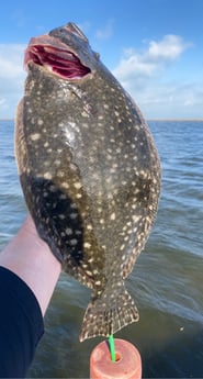 Flounder fishing in Matagorda, Texas