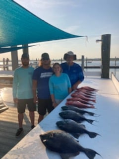 Red Snapper, Triggerfish Fishing in Orange Beach, Alabama