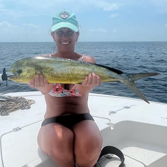 Mahi Mahi / Dorado fishing in Panama City, Florida