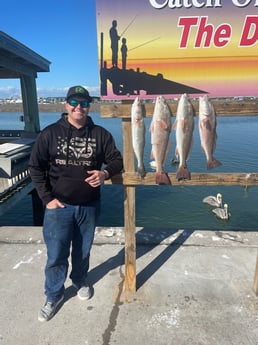 Redfish, Speckled Trout / Spotted Seatrout Fishing in Rockport, Texas