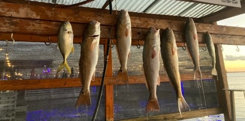 Redfish, Speckled Trout Fishing in South Padre Island, Texas