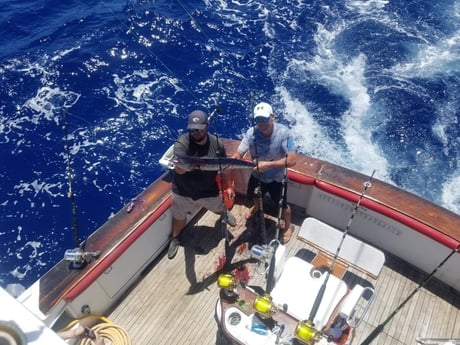 Wahoo Fishing in Key West, Florida