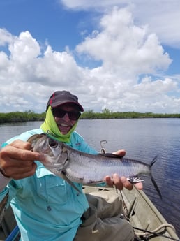 Tarpon fishing in Islamorada, Florida