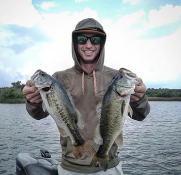 Largemouth Bass fishing in Austin, Texas