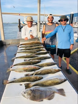 Black Drum, Redfish, Speckled Trout / Spotted Seatrout fishing in Surfside Beach, Texas