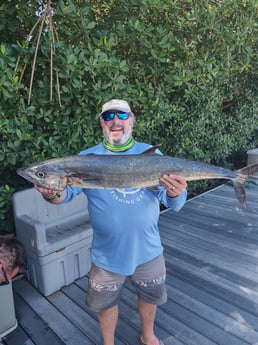 Tarpon fishing in Carolina, Carolina