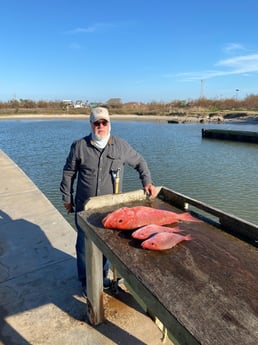 Red Snapper fishing in Freeport, Texas