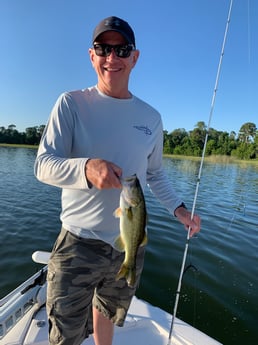 Largemouth Bass fishing in Clearwater, Florida