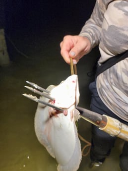 Flounder Fishing in Rio Hondo, Texas