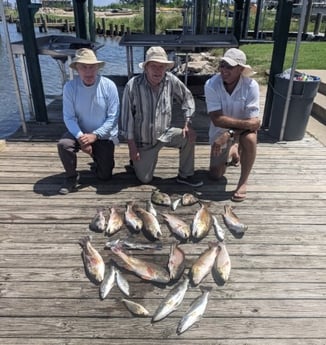 Black Drum, Redfish, Sheepshead, Speckled Trout / Spotted Seatrout fishing in Sulphur, Louisiana