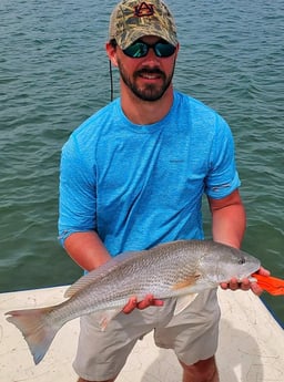 Redfish fishing in Beaufort, North Carolina