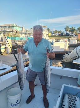 King Mackerel / Kingfish fishing in Orange Beach, Alabama