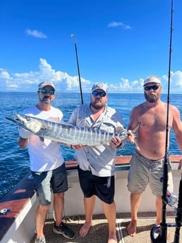 Wahoo fishing in Orange Beach, Alabama