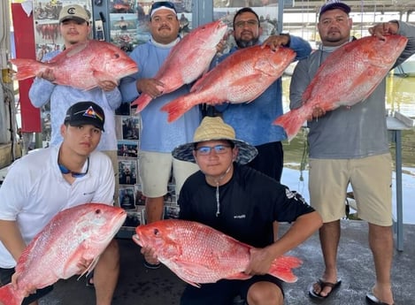 Red Snapper fishing in Galveston, Texas