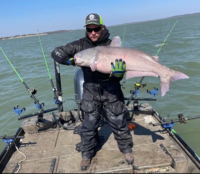 Blue Catfish fishing in Dallas, Texas