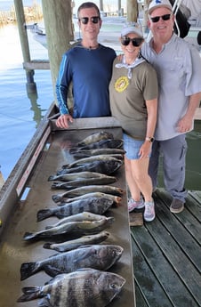 Black Drum, Sheepshead, Speckled Trout / Spotted Seatrout fishing in Freeport, Texas