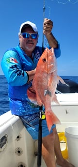 Red Snapper fishing in South Padre Island, Texas