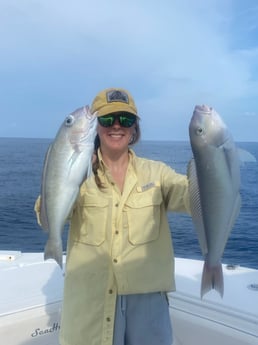 Tilefish Fishing in Key West, Florida