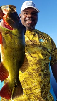 Peacock Bass Fishing in Fort Lauderdale, Florida