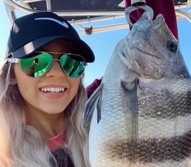 Sheepshead fishing in Galveston, Texas