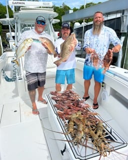 Lionfish, Lobster, Mangrove Snapper, Red Grouper Fishing in Islamorada, Florida